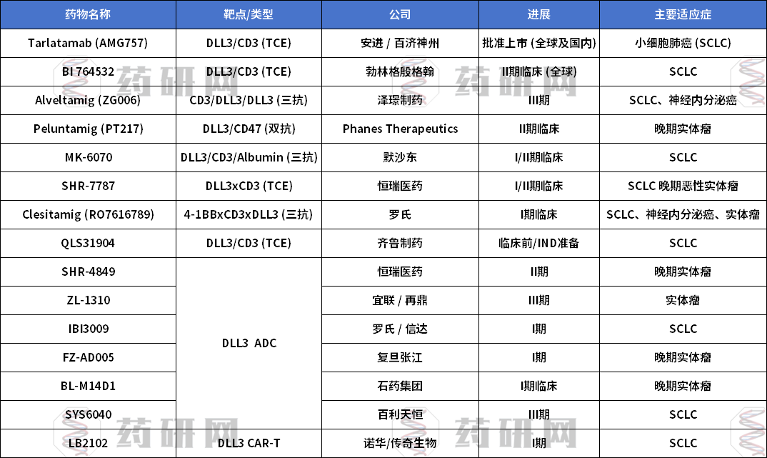 Dll3 DLL3:从肿瘤标志物到热门治疗靶点 - 企业动态 - 丁香通