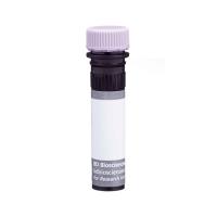 Hu CD14 BUV395 MPhiP9 100Tst