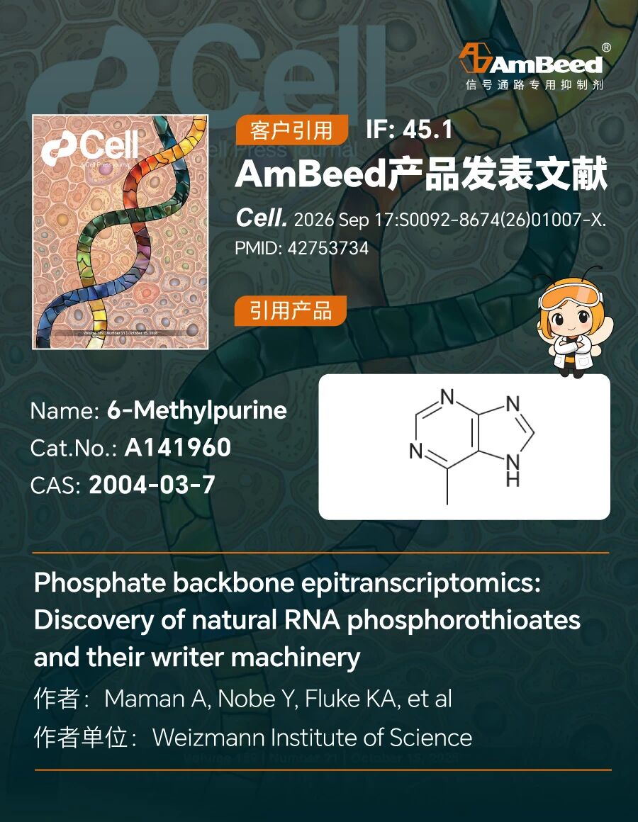 AmBeed 助力高分文献丨发现 RNA 骨架硫代修饰