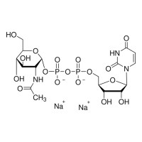 尿苷-5′-二磷酸-N-乙酰基-葡糖胺钠盐,91183-98-1,≥98%,阿拉丁
