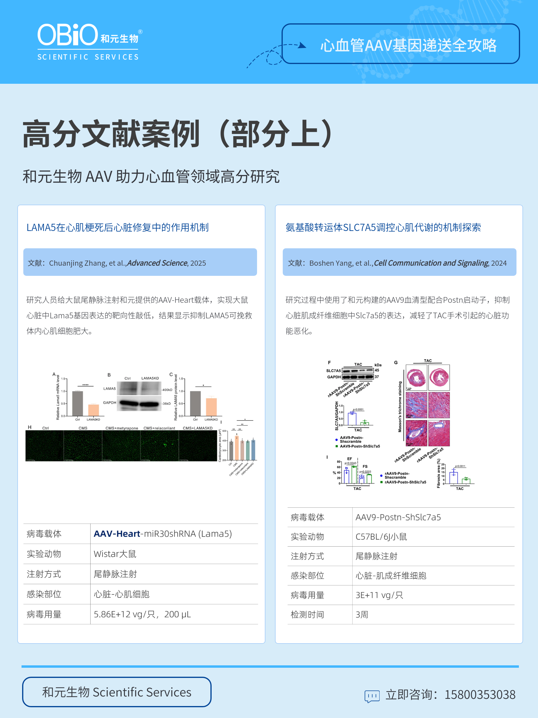 新闻图片6