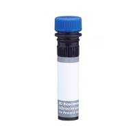 Hu CD19 BUV496 SJ25C1 25Tst