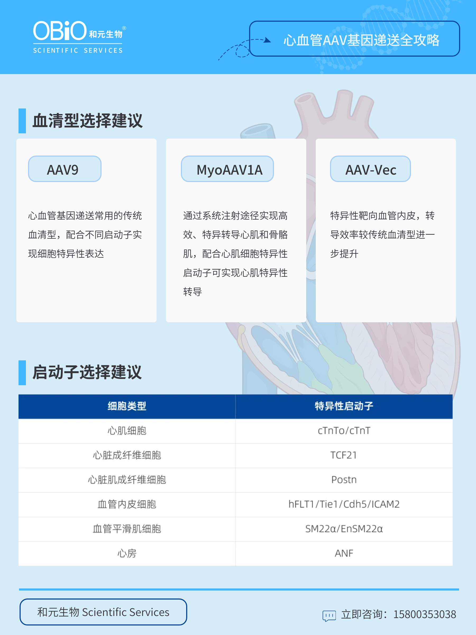 新闻图片3