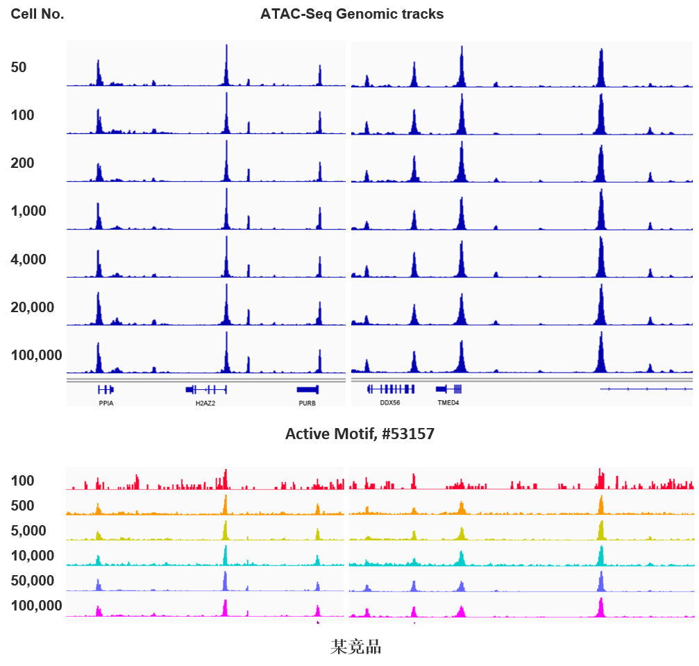 图 2:Active Motif ATAC-Seq Express Kit 与竞品在不同起始细胞数量下的 ATAC-seq 信号轨迹对比