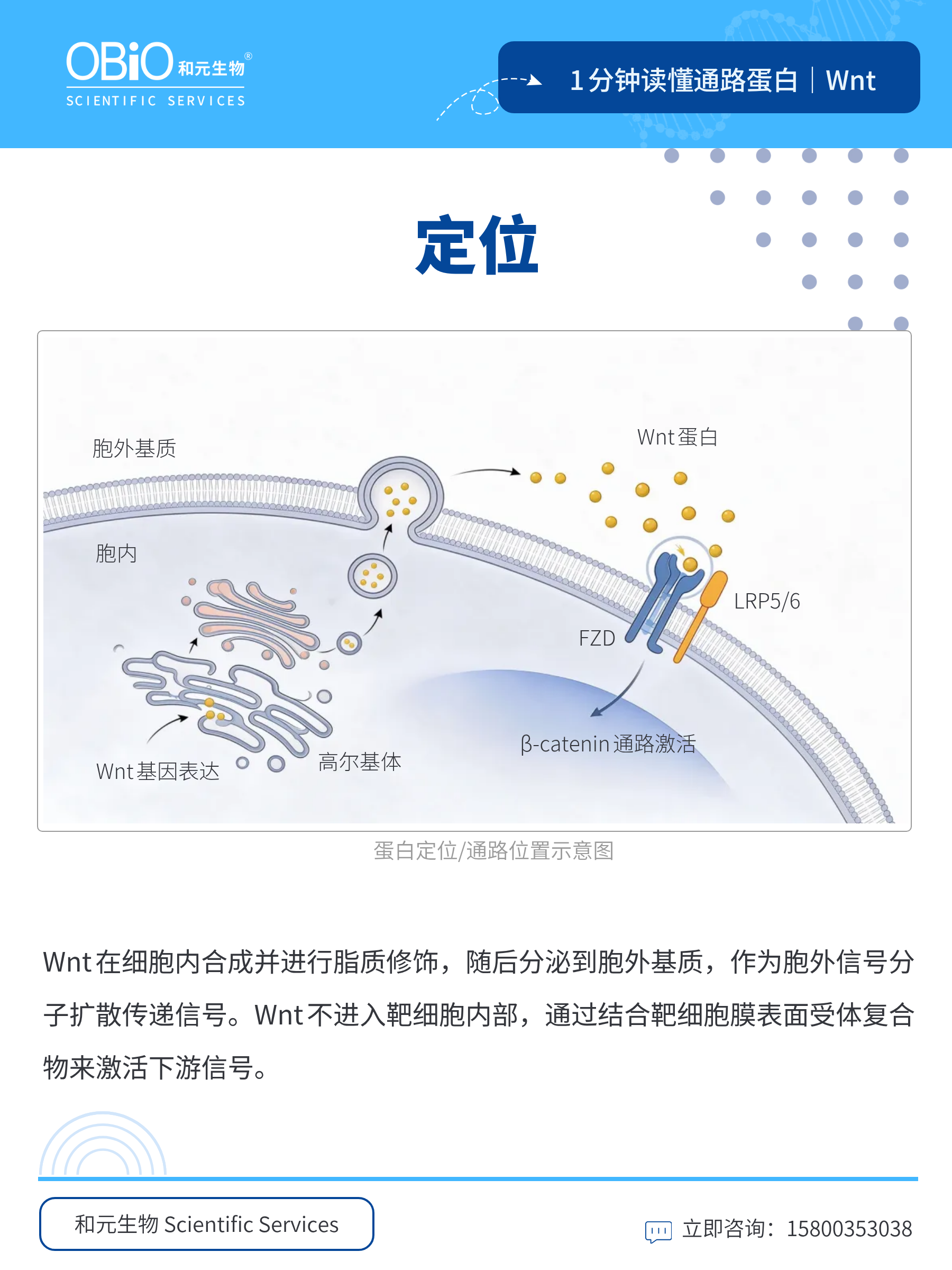 新闻图片2