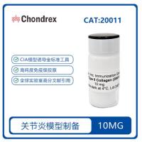 20011 Immunization Grade Chick Type II Collagen免疫级鸡II型胶原
