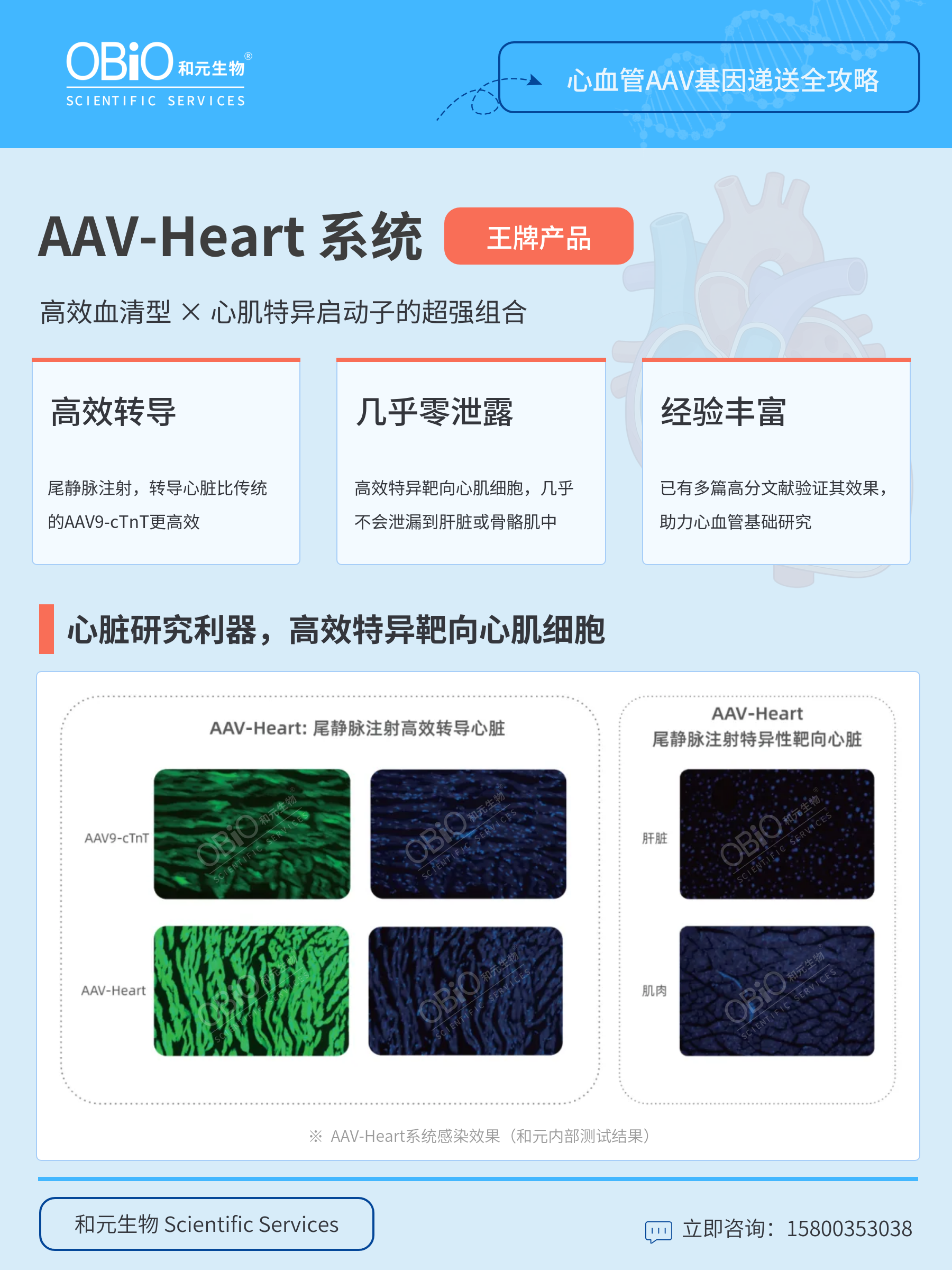 新闻图片4
