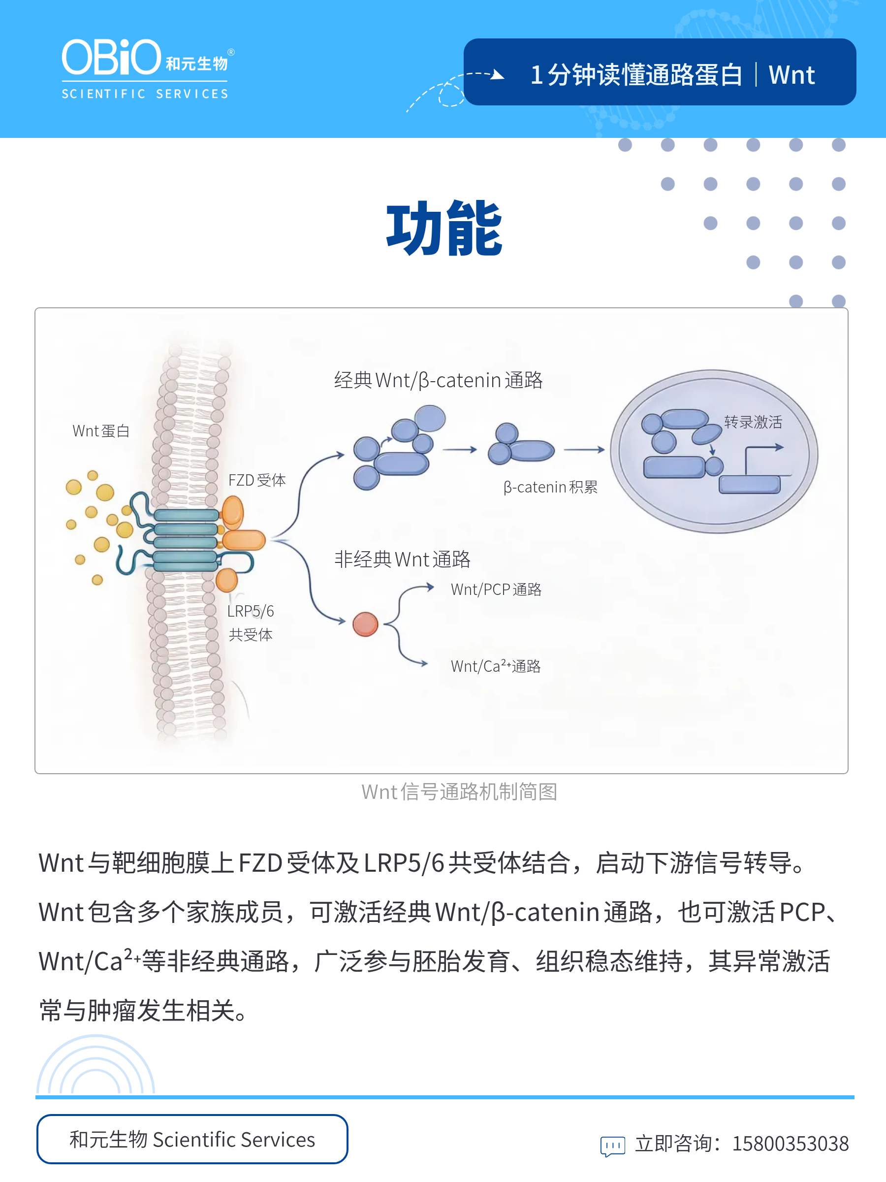 新闻图片4