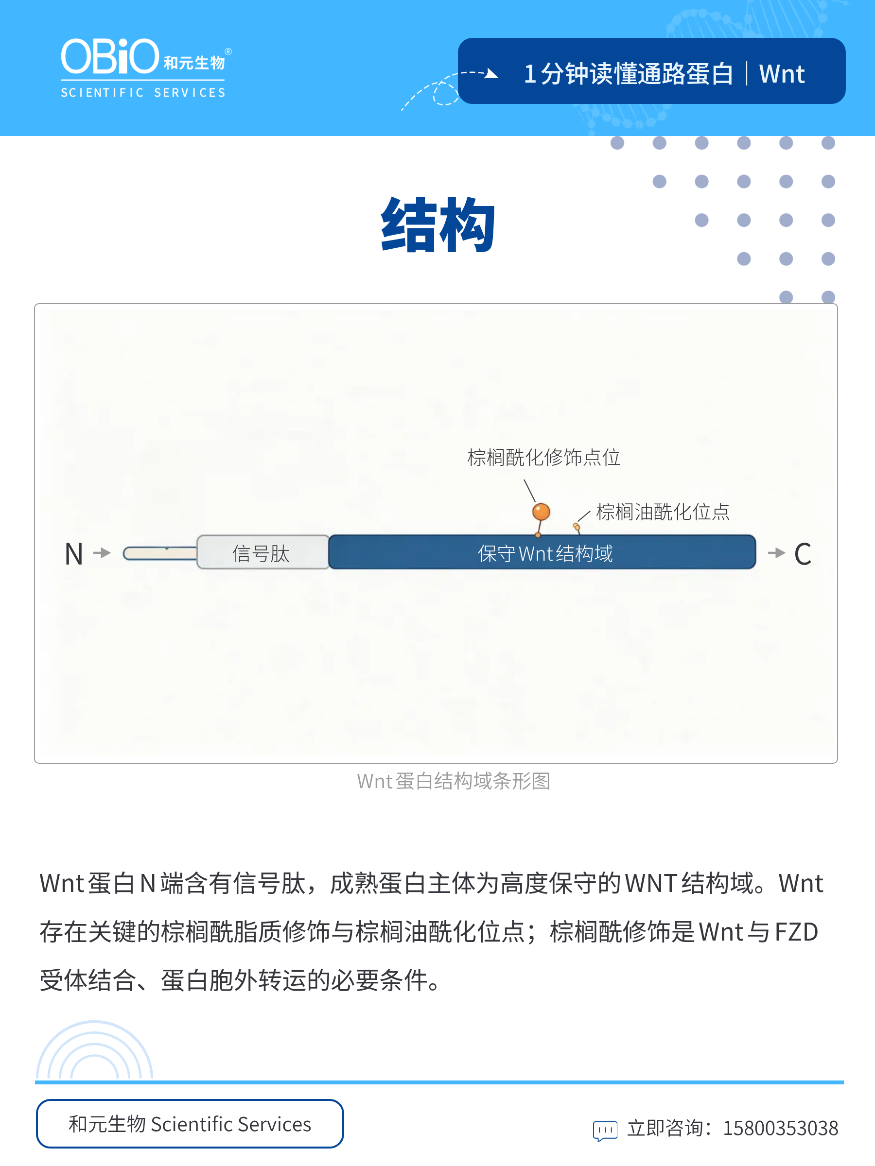 新闻图片3
