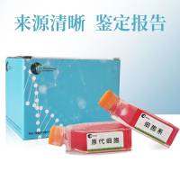 MB-020细胞(昆虫-卷心菜蛾幼虫血细胞)