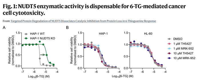 BMG LABTECH多功能酶标仪文献分享,牛津大学团队发表在Nature Communications “Targeted Protein Degradation of NUDT5 Dissociates Catalytic Inhibition from Protein Loss in 6-Thioguanine Response”