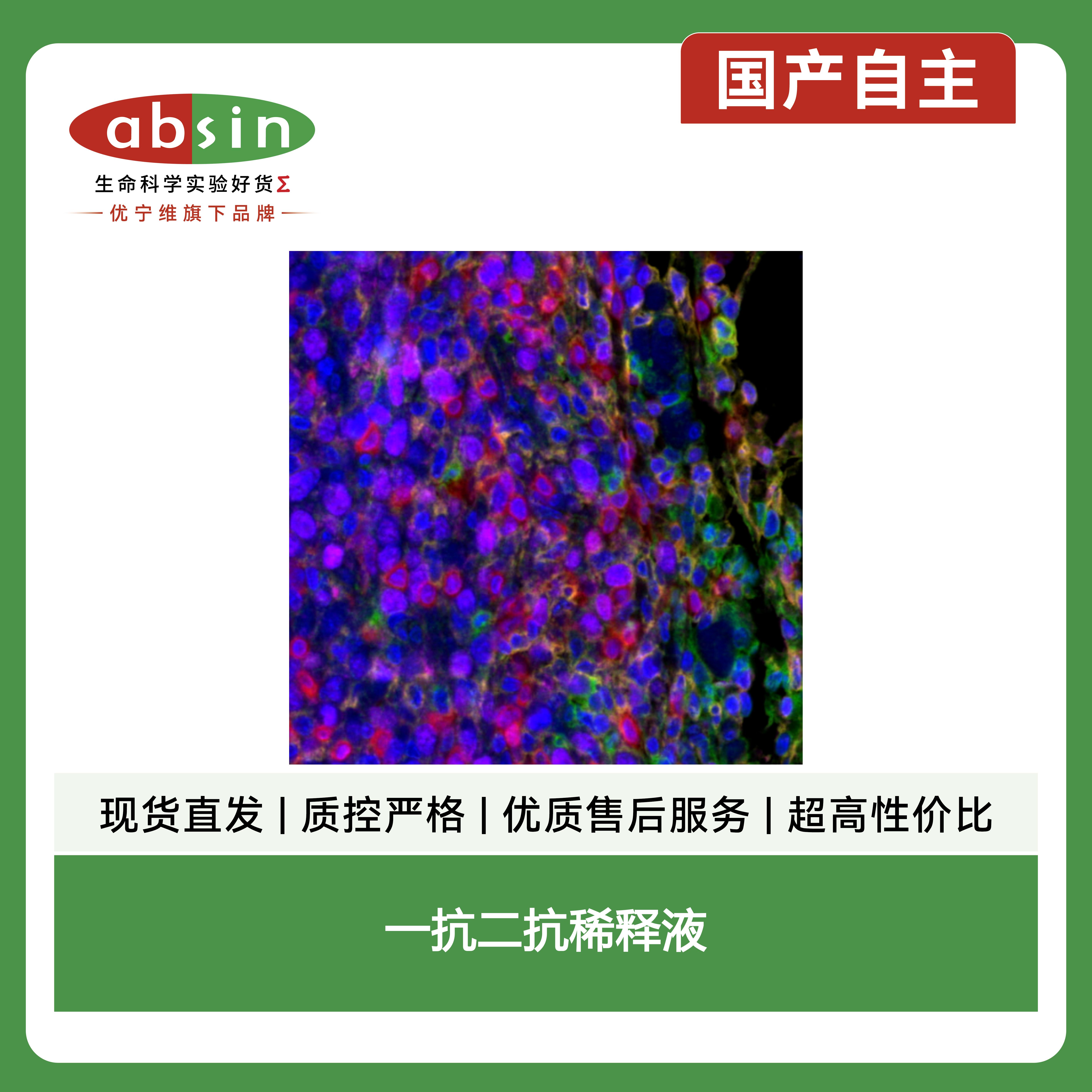 一抗二抗稀释液产品图