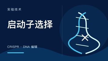 稳定细胞株药筛一般用什么抗生素？