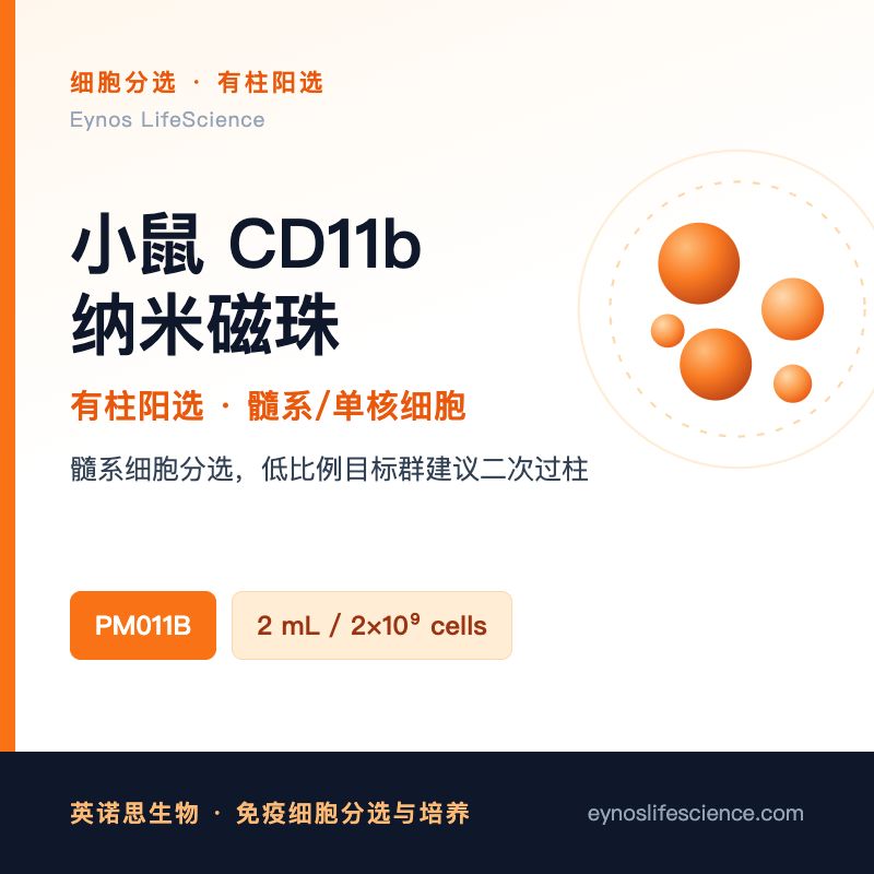 小鼠CD11b细胞分选磁珠(有柱阳选)