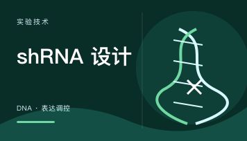 稳定细胞株怎么验证？