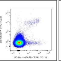 Hu CD133 PE-CF594 W6B3C1 25ug