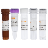 E.coli Host Cell RNA Residue Detection Kit