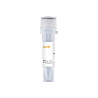 重组人B细胞激活因子