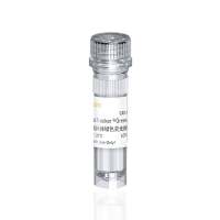线粒体绿色荧光探针(MitoTracker® Green FM)