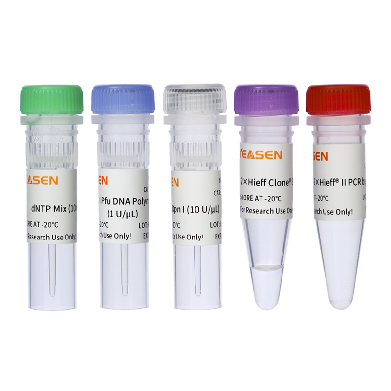 Hieff Mut™定点突变试剂盒|Hieff Mut™ Site-Directed Mutagenesis Kit产品图