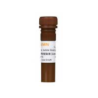 PI 碘化丙啶染液 Propidium Iodide(1mg/ml)