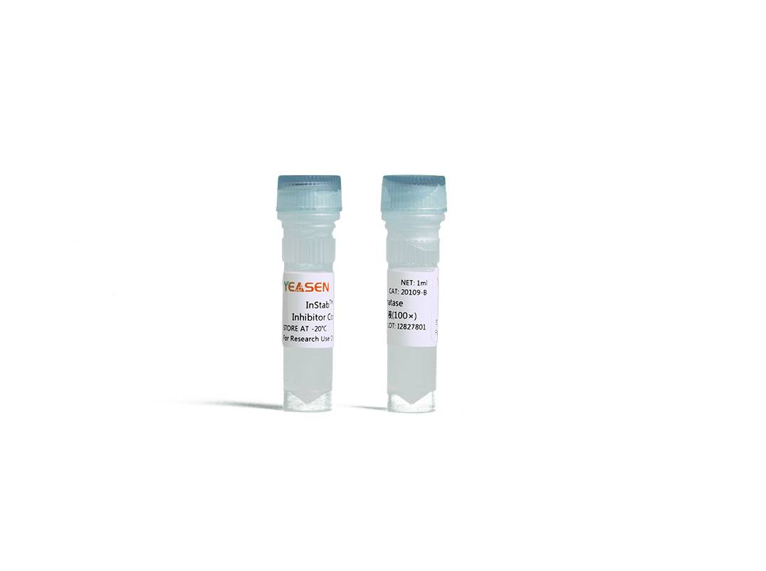 磷酸酶抑制剂混合物(100×Phosphatase Inhibitor Cocktail)产品图
