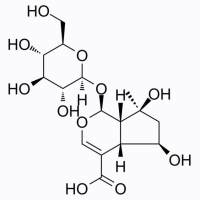 山栀苷,29836-27-9,Moligand™, ≥98%,阿拉丁