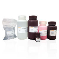 PAGE凝胶快速制备试剂盒（10%）PAGE Gel Quick Preparation Kit (10%) [可申请试用]