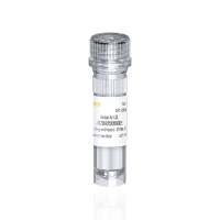 Human Ac-LDL 人源乙酰化低密度脂蛋白