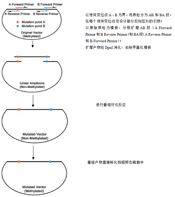 产品细节图片2