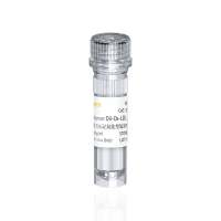 Human DiI-Ox-LDL 人源氧化型低密度脂蛋白(红色荧光标记)