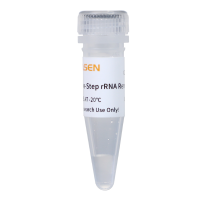Hieff NGS®一步快速去除核糖体RNA试剂盒(人 100-1000 ng)