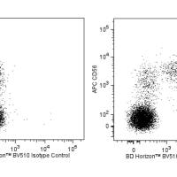 Hu CD335 (NKp46) BV510 9E2/Nkp46 50Tst