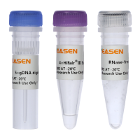Hifair Ⅲ 荧光定量pcr cDNA第一链合成即用型预混液(gDNA digester plus)