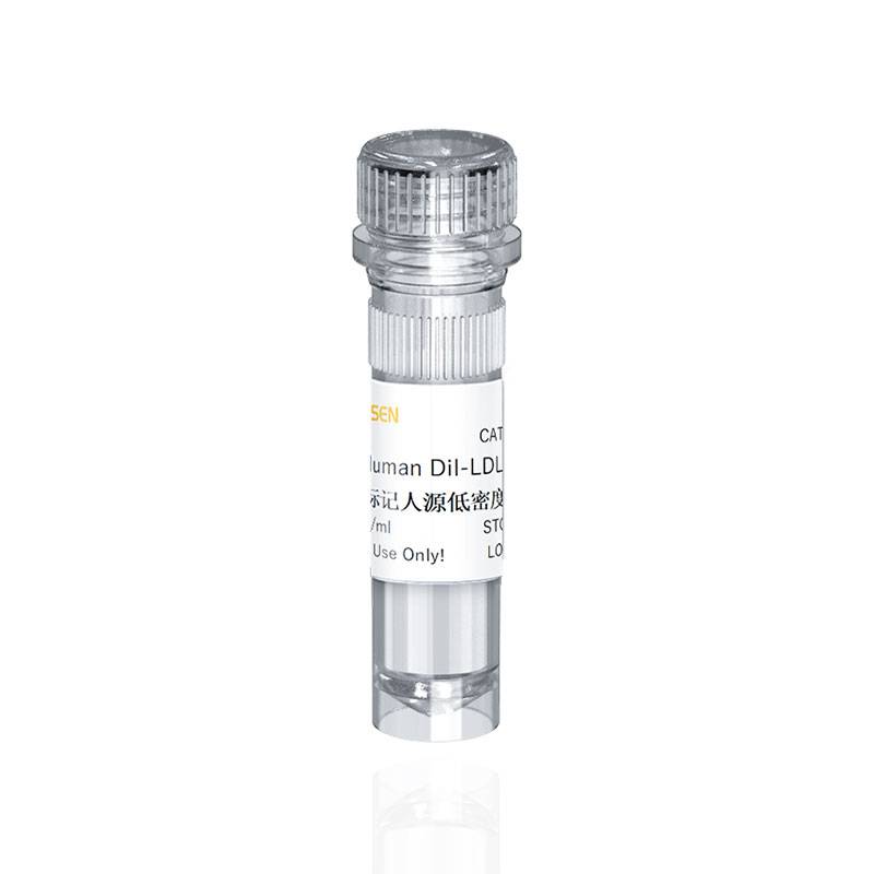Human DiI-LDL 人源低密度脂蛋白(红色荧光标记)产品图