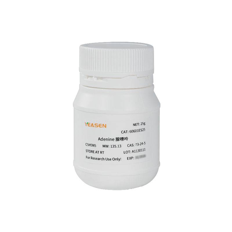 Adenine 腺嘌呤 含氮杂环嘌呤(维生素B4/6-氨基嘌呤)产品图