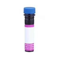 Hu CD152 PE-Cy7 BNI3 25Tst
