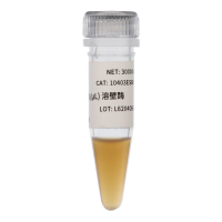 溶壁酶 Lyticase (10U/μl) 真菌细胞溶解酶