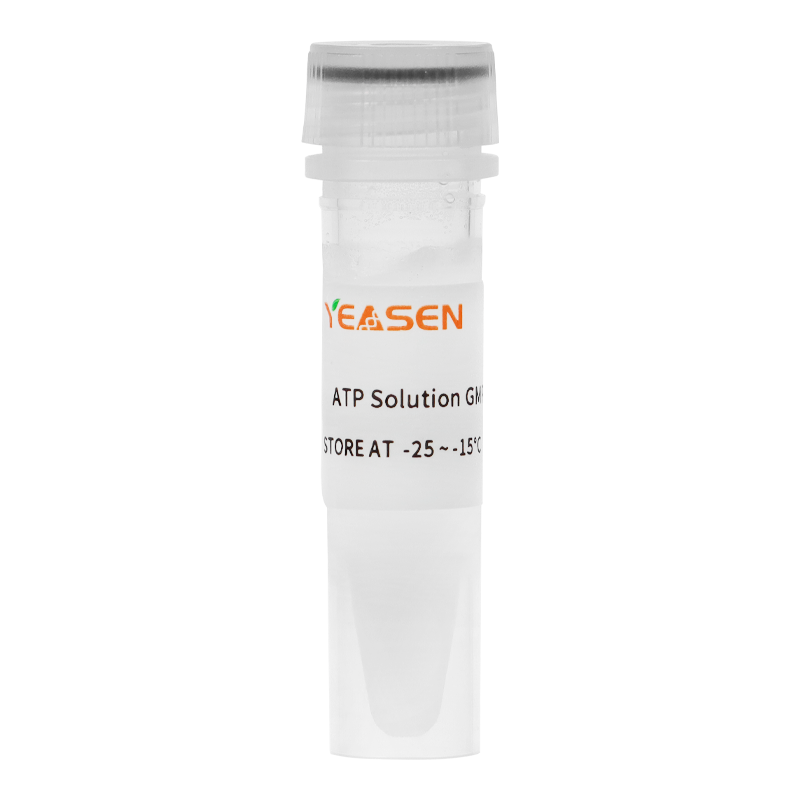 ATP Solution 腺苷三磷酸溶液(100mM)产品图