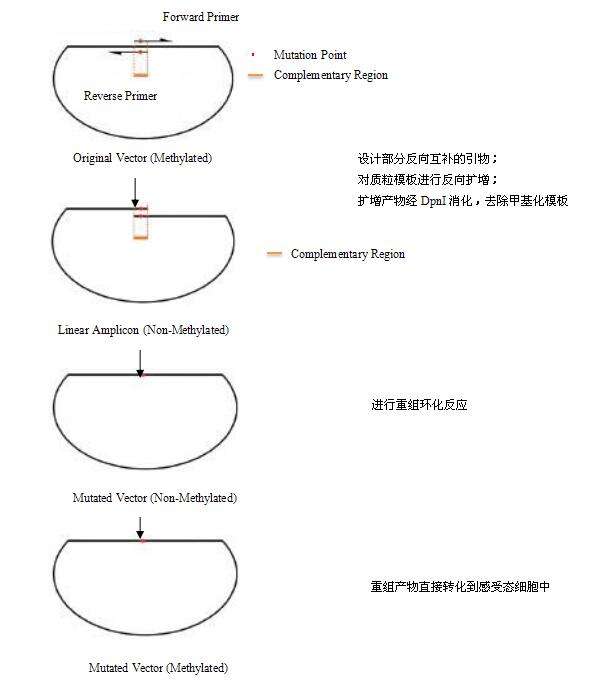 产品细节图片1
