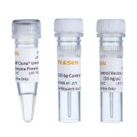 同源重组克隆试剂盒 一步法克隆试剂盒 One Step Cloning Kit