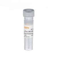Alexa Fluor® 488 NHS Ester (Succinimidyl Ester) Alexa Fluor® 488-N-羟基琥珀酰亚胺酯