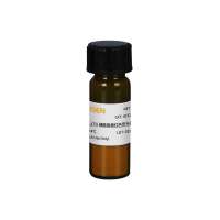 DiI (DiIC18(3)) 细胞膜橙红色荧光探针(荧光染料)