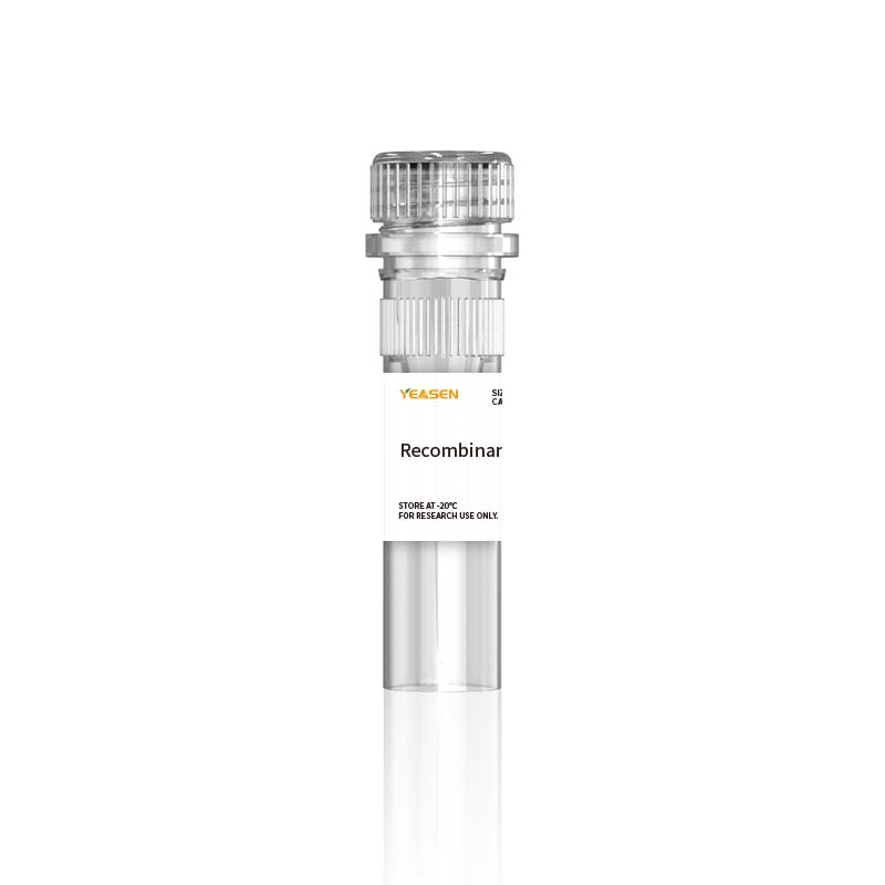 生物素化重组人PD-1/PCD1蛋白(His Avi标签)产品图