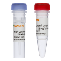 高保真DNA聚合酶 Hieff Canace® Gold High-Fidelity DNA Polymerase [可申请试用]