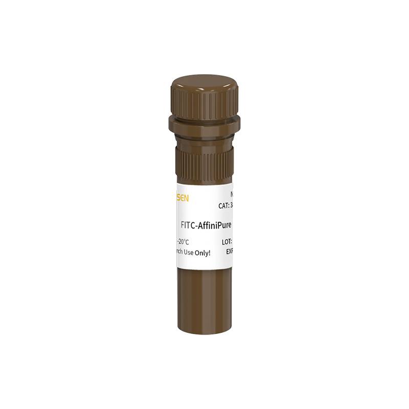 FITC标记山羊抗小鼠IgM,µ链特异结合产品图