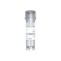 活细胞氧化应激检测橙色探针(CellROX Orange Reagent)