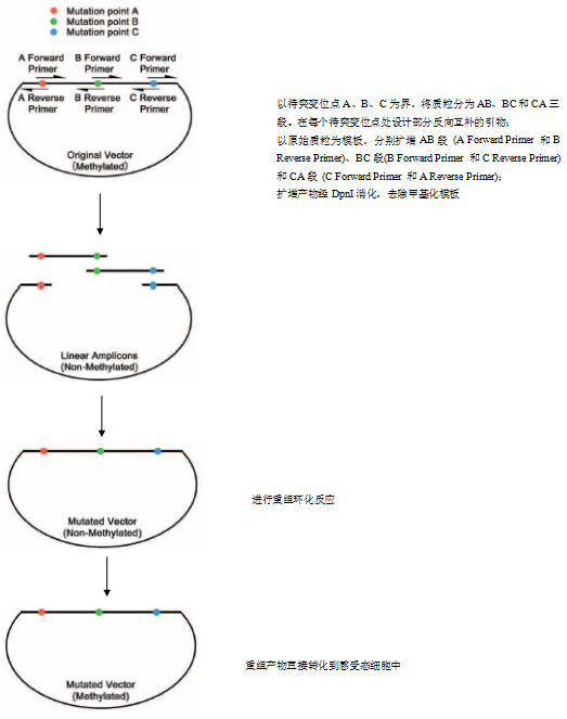 产品细节图片1