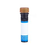 Hu CD8 PerCP-Cy5.5 RPA-T8 50Tst