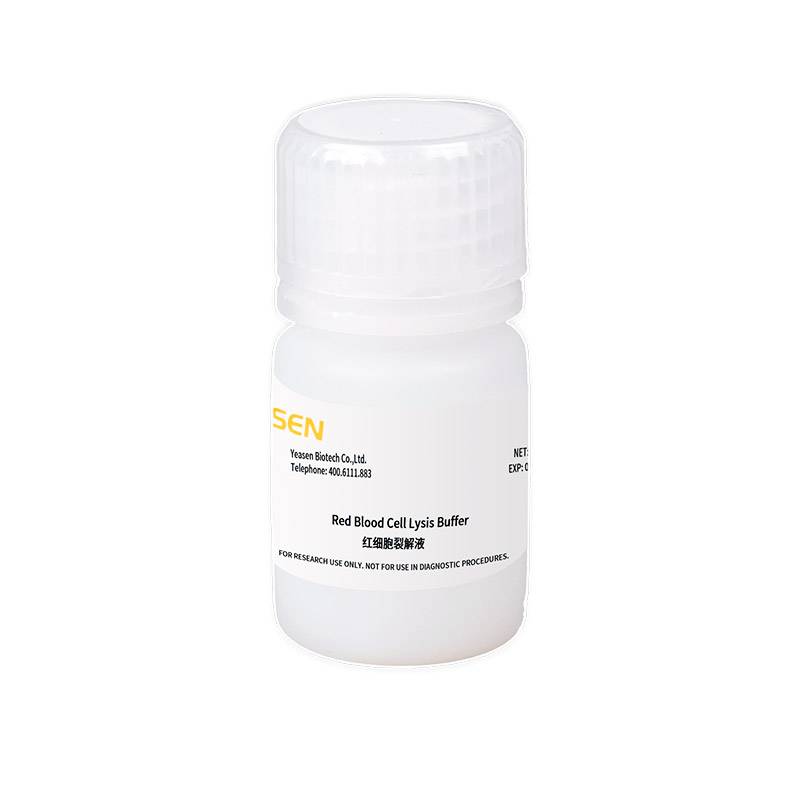 细胞裂解液|红细胞裂解液 Red Blood Cell Lysis Buffe产品图